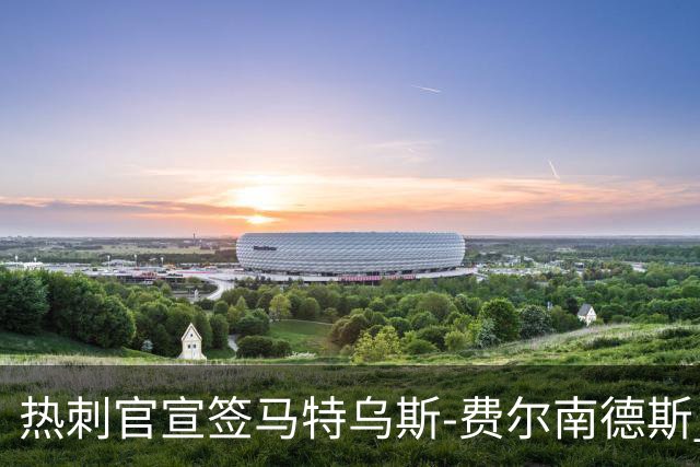 热刺官宣签马特乌斯-费尔南德斯 转会费8500万镑破纪录