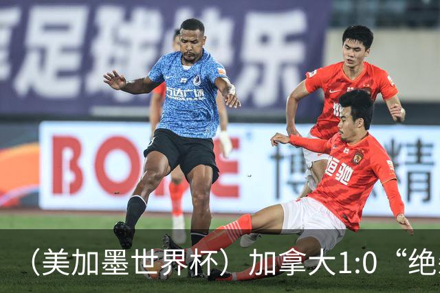 （美加墨世界杯）加拿大1:0“绝杀”南非 队史首进16强